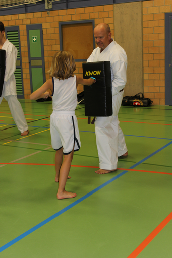 Japanische Kampfkunst