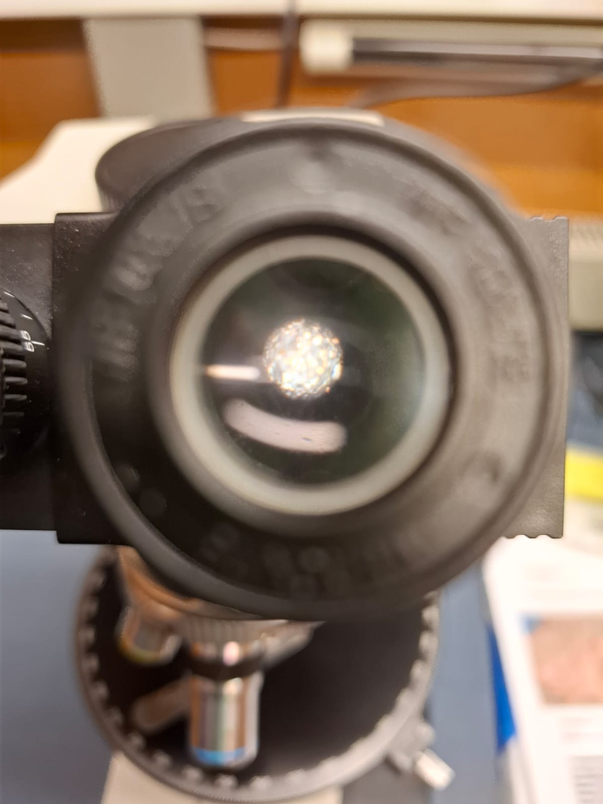 Sternwarte Schafmatt