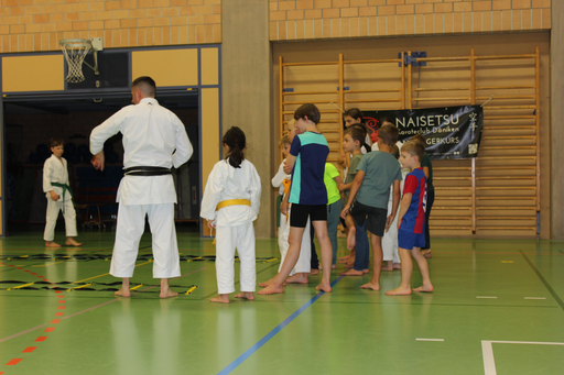 Japanische Kampfkunst