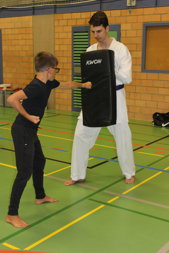 Japanische Kampfkunst