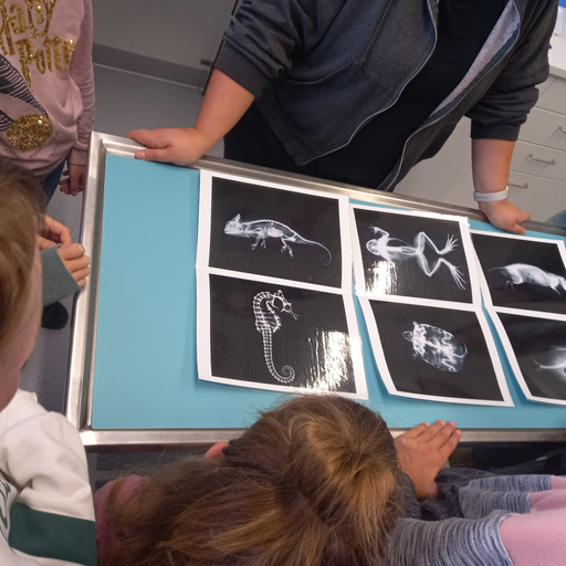 Einblicke in die Tierklinik Aarau West