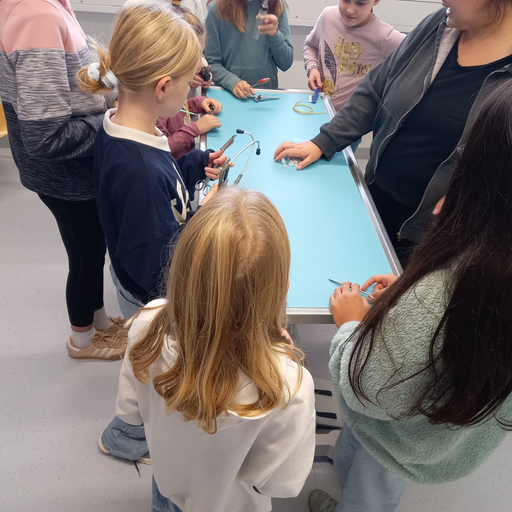 Einblicke in die Tierklinik Aarau West
