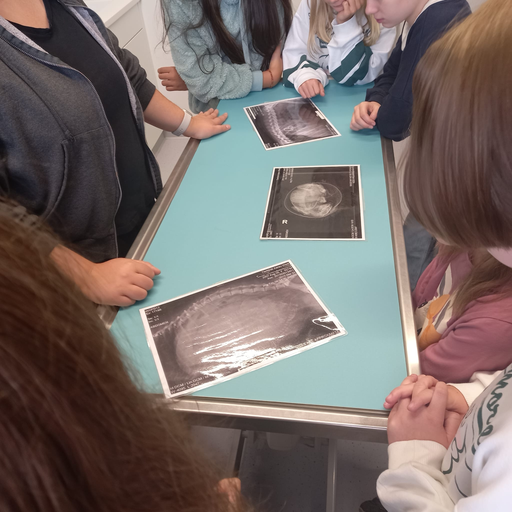 Einblicke in die Tierklinik Aarau West