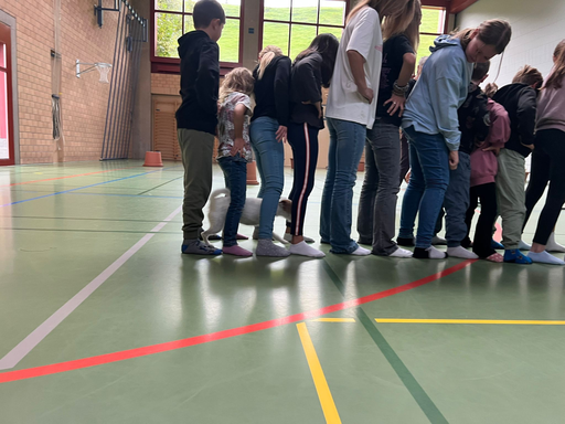 Tierisch sicherer Umgang mit Hunden